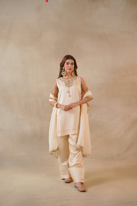 Nude Blush Farshi Salwar Set